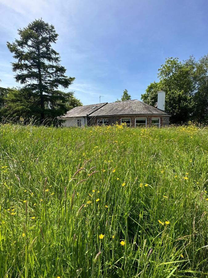 Balsoon Lodge Navan Luaran gambar